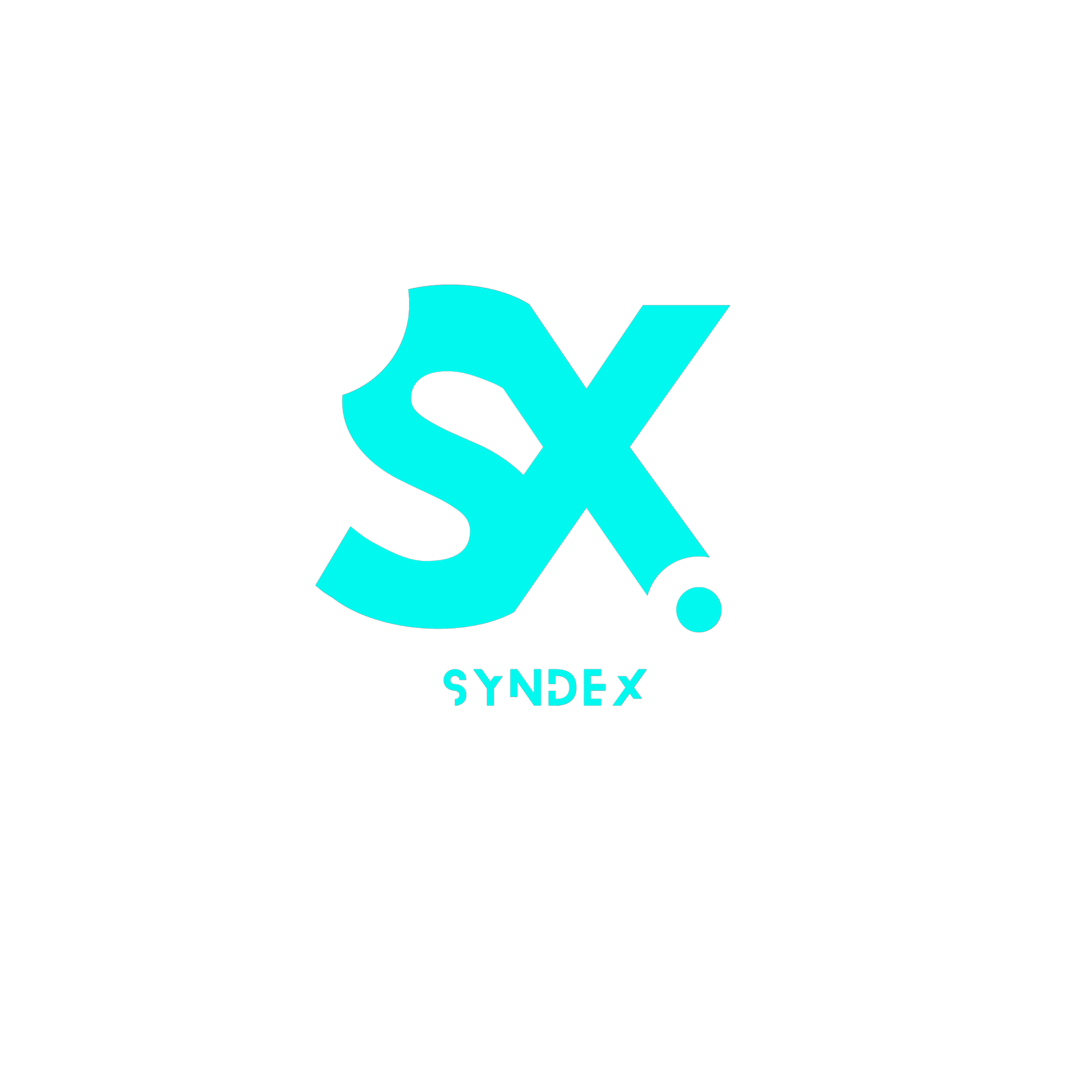 Syndex AI Logo