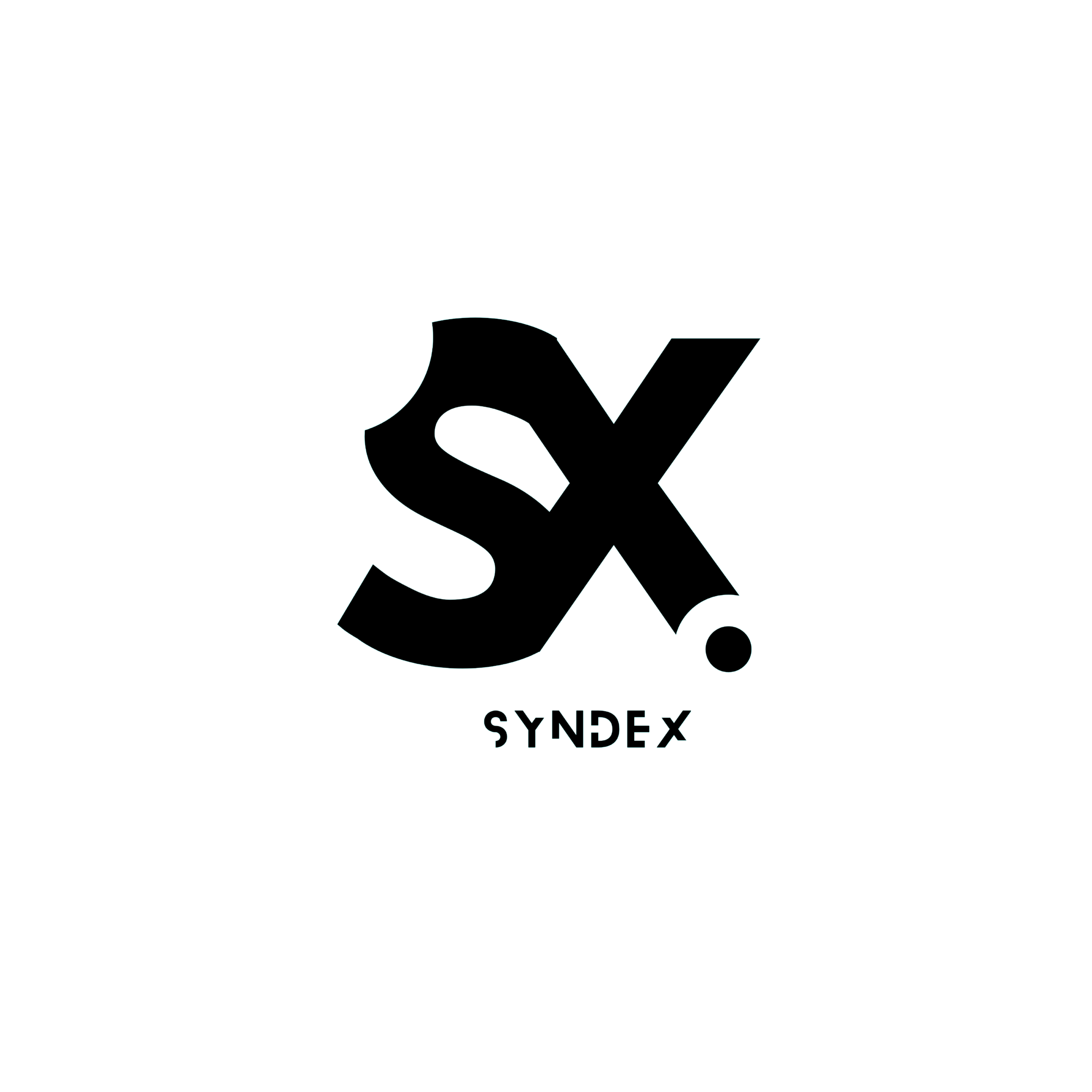 Syndex AI Logo